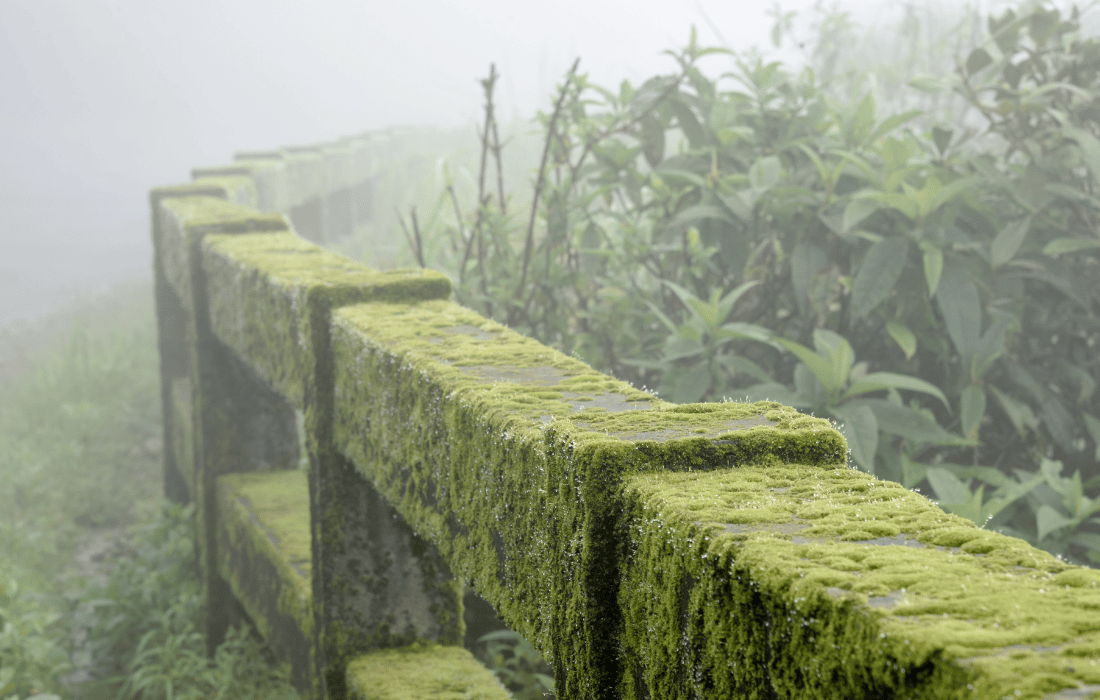 Cherrapunji Sightseeing Tour